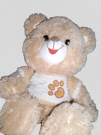 Jucărie plus ursuleț