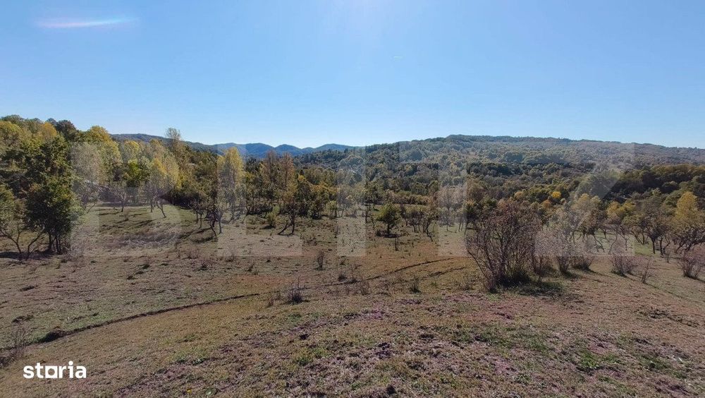 Teren extravilan cu priveliste superba , livada si potential casute de