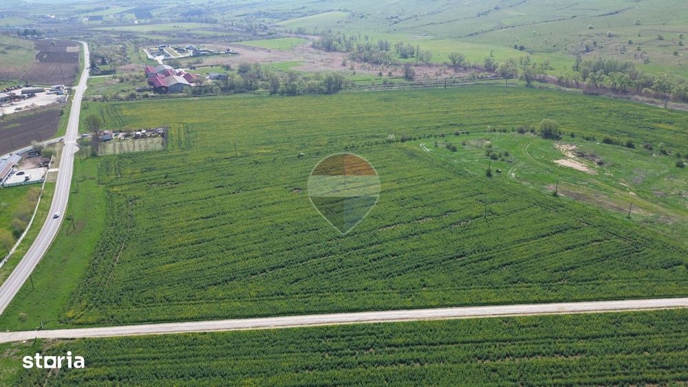 Teren de vanzare sau inchiriat 19ha intravilan, Agnita,Sibiu