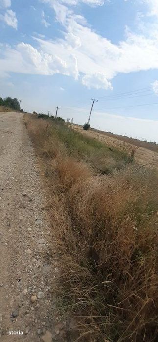 0% Comision !!!  Teren Intravilan - Bradu