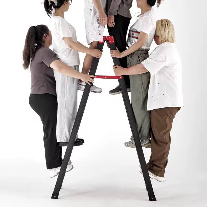 Лестница для дома и строительства Sofia, нагрузка 150 кг