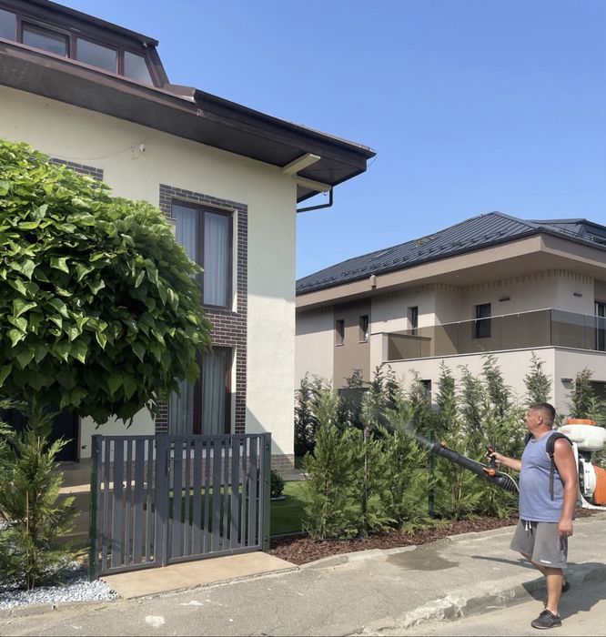 Tratamente Plante si  Stropiri de Specialitate