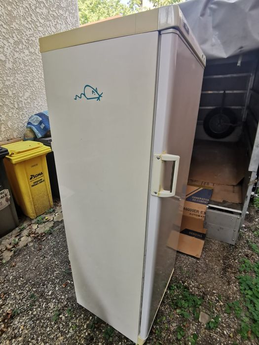 Combina frigorifica zanussi perfect funcțională pret 700 lei se afla in bacau