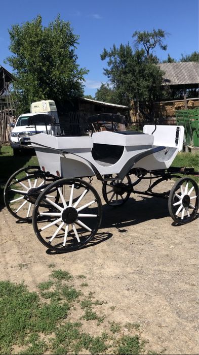 Vand șaretă/caleașcă pentru cai