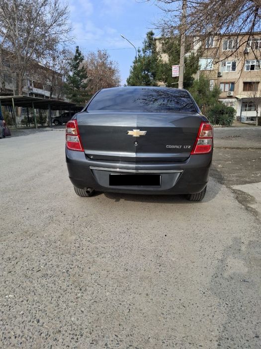 Cobalt LTZ 2024 benzin