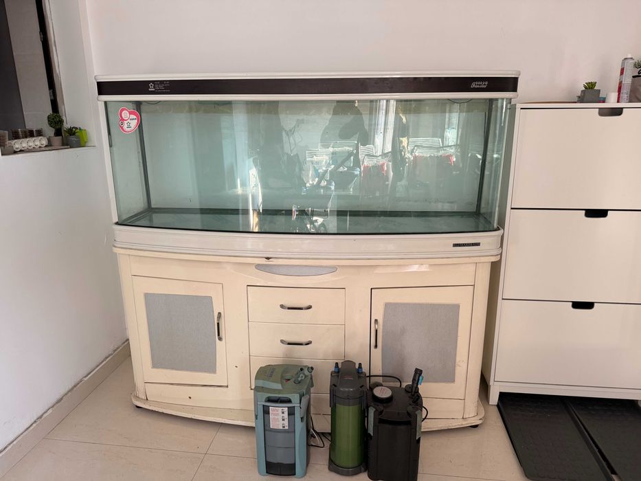 acvariu 480 L, sticla curbata