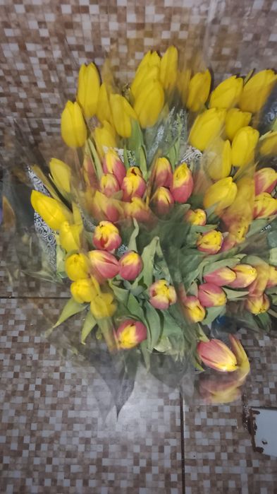 Тюльпаны к 8-му Марта