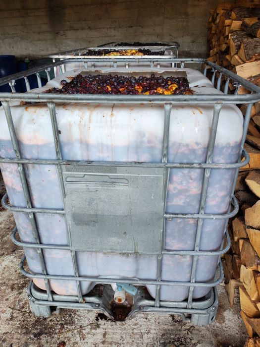 Prune de vânzare borhot gata fierte pentru tuica