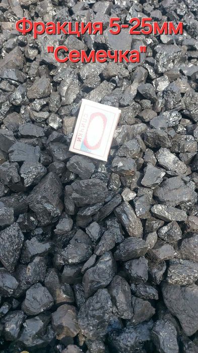 Шубаркуль. Семечка