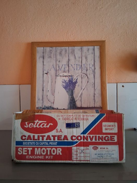 Set motor  Dacia 1300 - 1310 , 1289 cm3