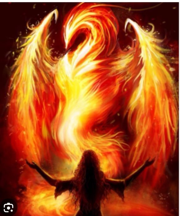 Евтаназия на домашни любимци