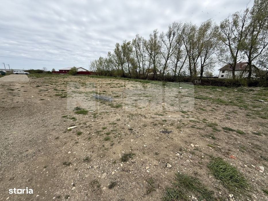 Teren intravilan | Rădăuți – Zona Tolocii | 2.000 mp | Parcelabil - Vedere 5