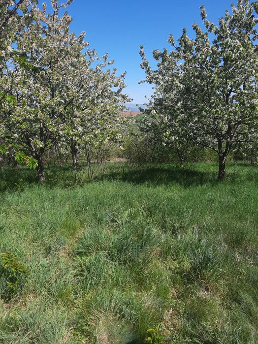 Продава се Къща в Радомир - 50 кв.м за 1530 €/кв.м - Снимка #6