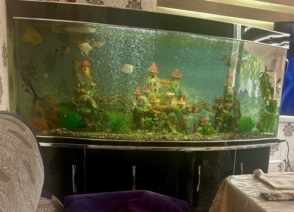 Аквариум 500 л.