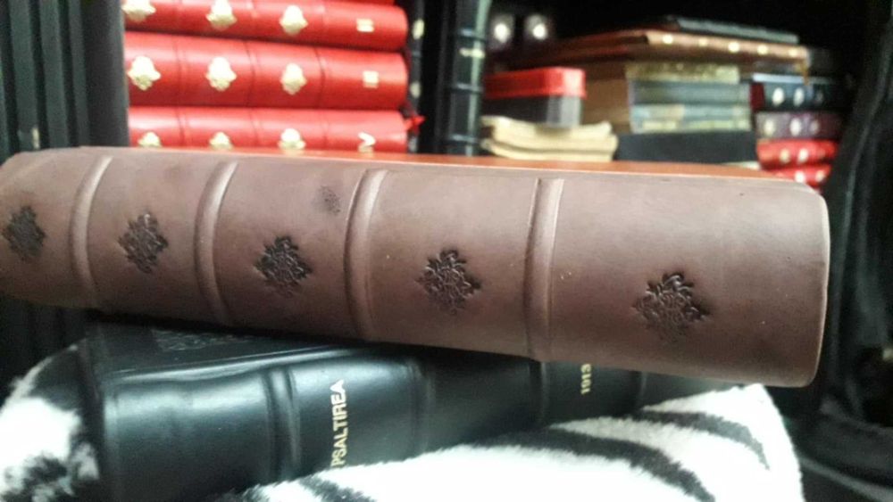 Conspiratorii-Jules Verne-1930 in fascicole,LEGATURA LUX