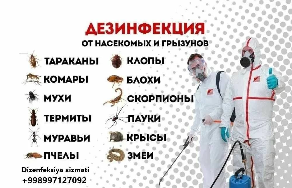 Дезинфекция Тараканов Клопов Мух Блох Клещей