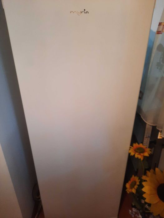 Congelator MYRIA MY1004, 153 l, H 142 cm, Clasa A+, alb