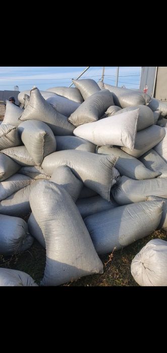 Шемішкенің қабығы (лузга подсолнечника)