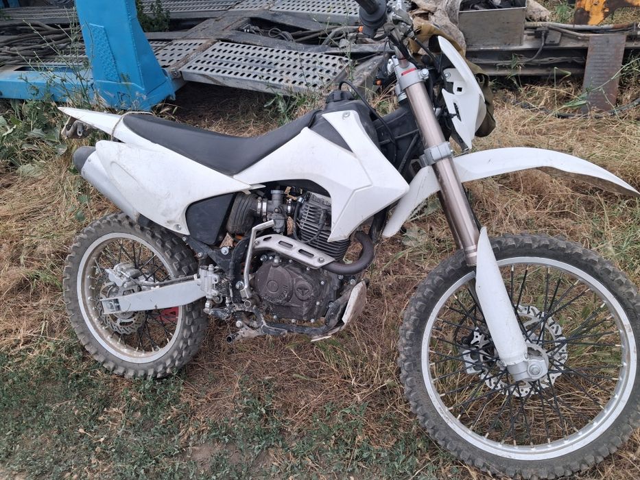 Продам или обмен  скот
