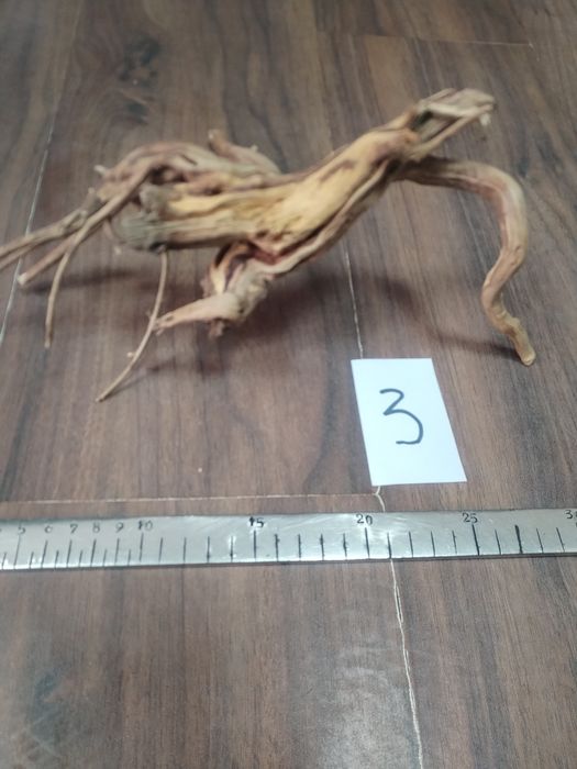 Специализирани аквариумни лампи и корени от азалия