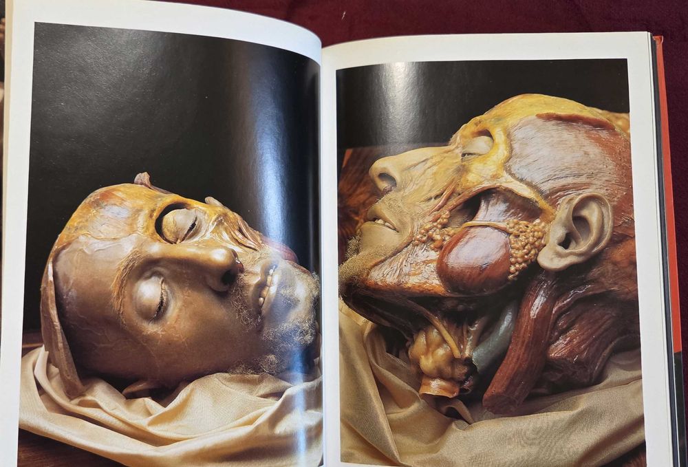 Encyclopaedia Аnatomica