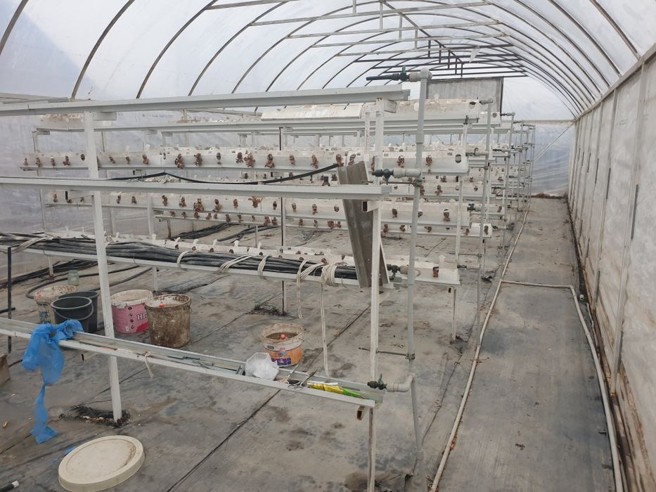 Теплица в сборе с всеми наворотами