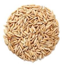 Продаем овес сухой и чистый