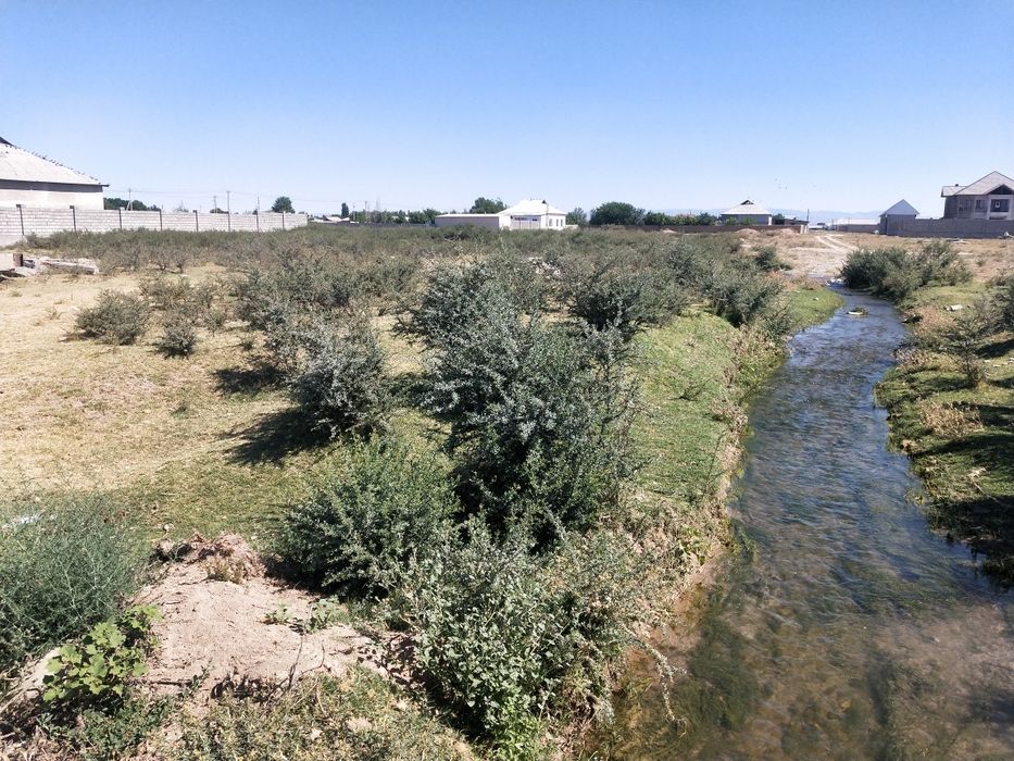 Земля 30 соток.  .