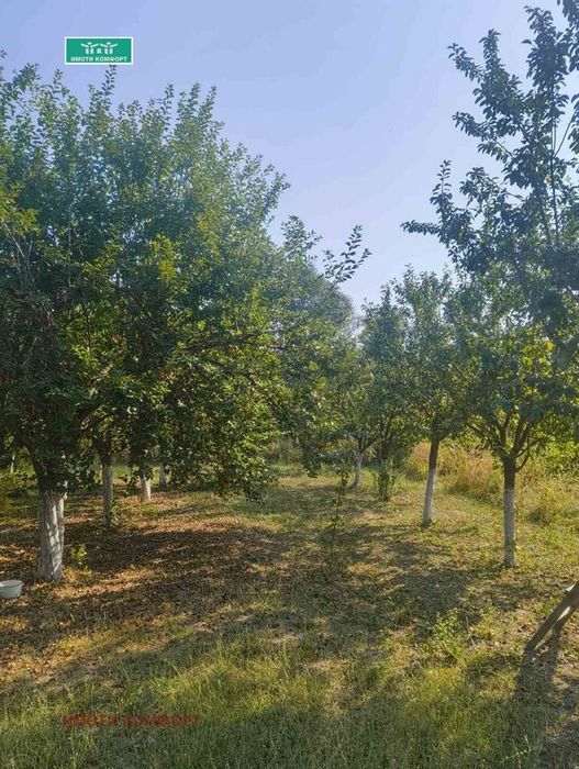 Продава се Къща в Роман - 120 кв.м за 309 €/кв.м - Снимка #9