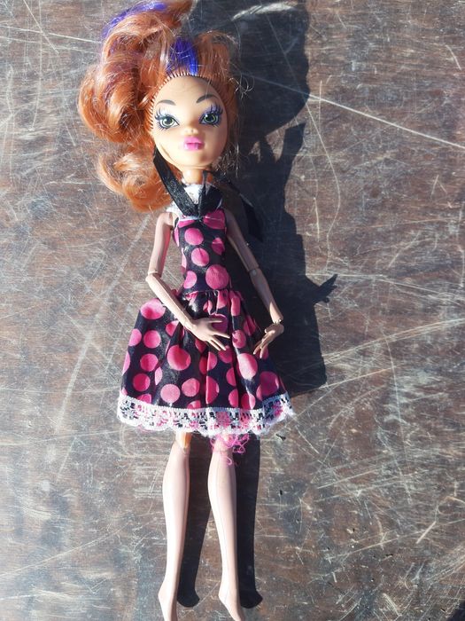 Продам куклы монстер хай