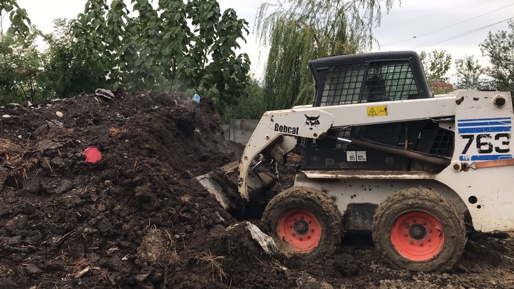 Mranita maturata ptr solarii sere familiale rasaduri