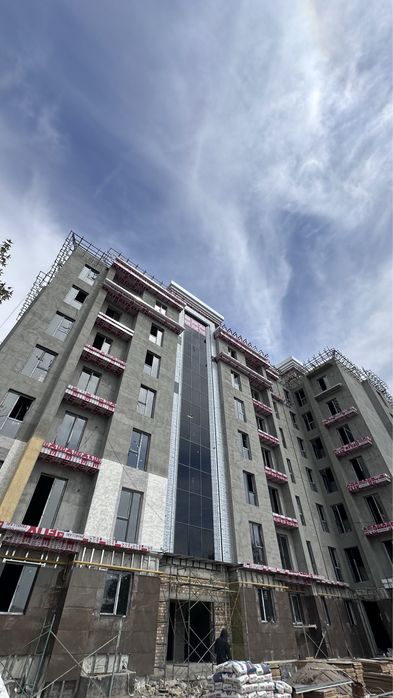 Каштан навастройка