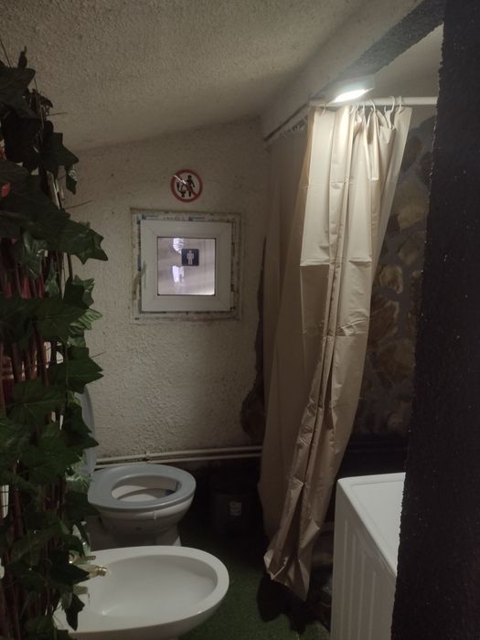 Inchiriez ap la casa pt 1 singura persoana plus o pisica sau un catel talie mica
