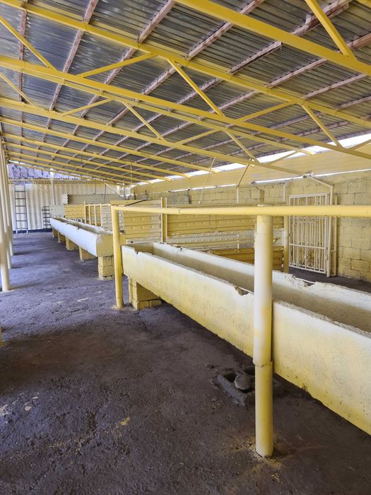 Откормочная база