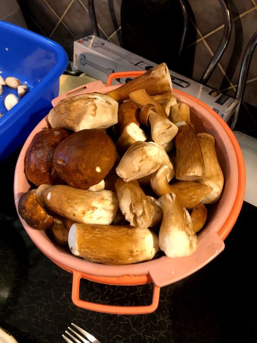 (Funghi Porcini)  Hribi - Pitoance - prăjite in ulei și suc propriu