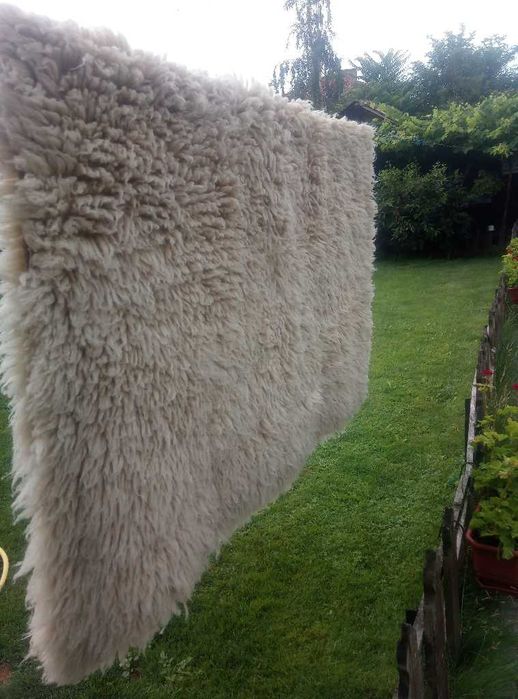 Китеник, халище, губер