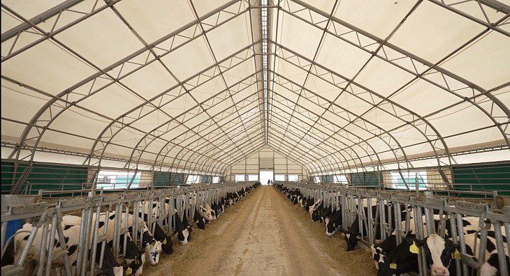 Baner  ustanovka soya setka