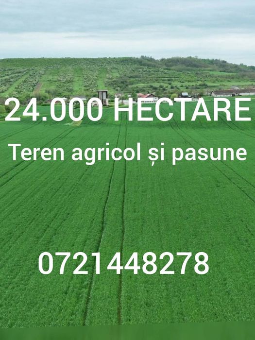 Agricultura în România