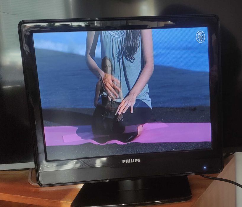 телевизор Philips 20PFL3403/10 20" 4:3, HDMI, дистанционно