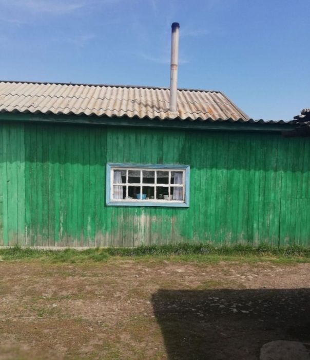 Продам дом в селе Толмачевка .