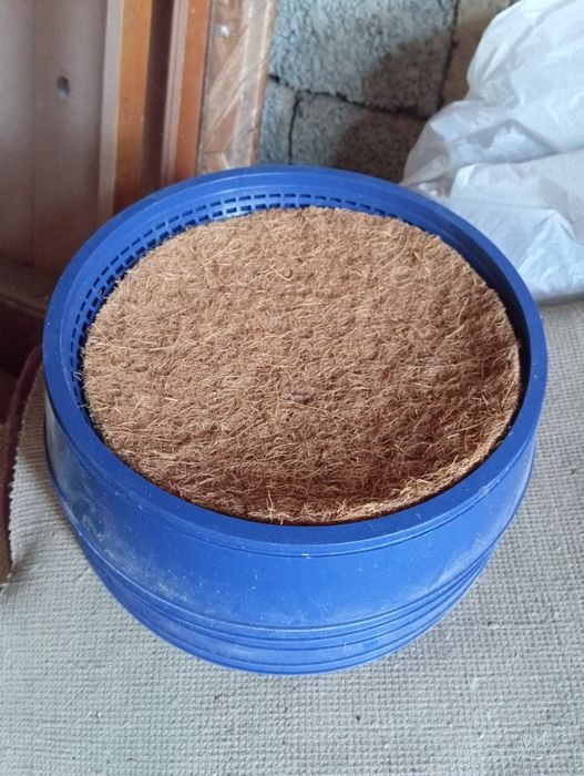 Голуби голуби голуби