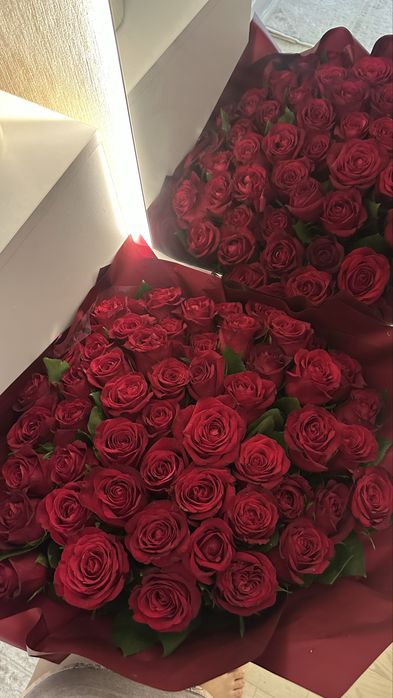 Голландская роза 51 шт