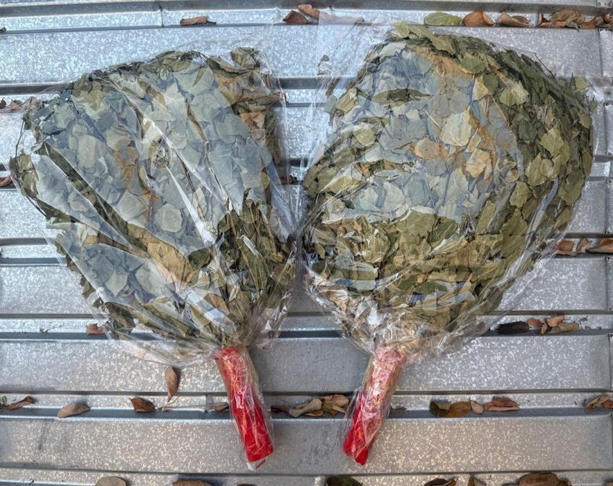 Веники для бани + ДОСТАВКА