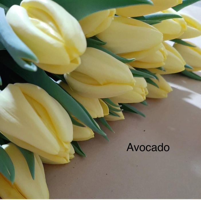 Тюльпаны премимум класса на 8 марта!