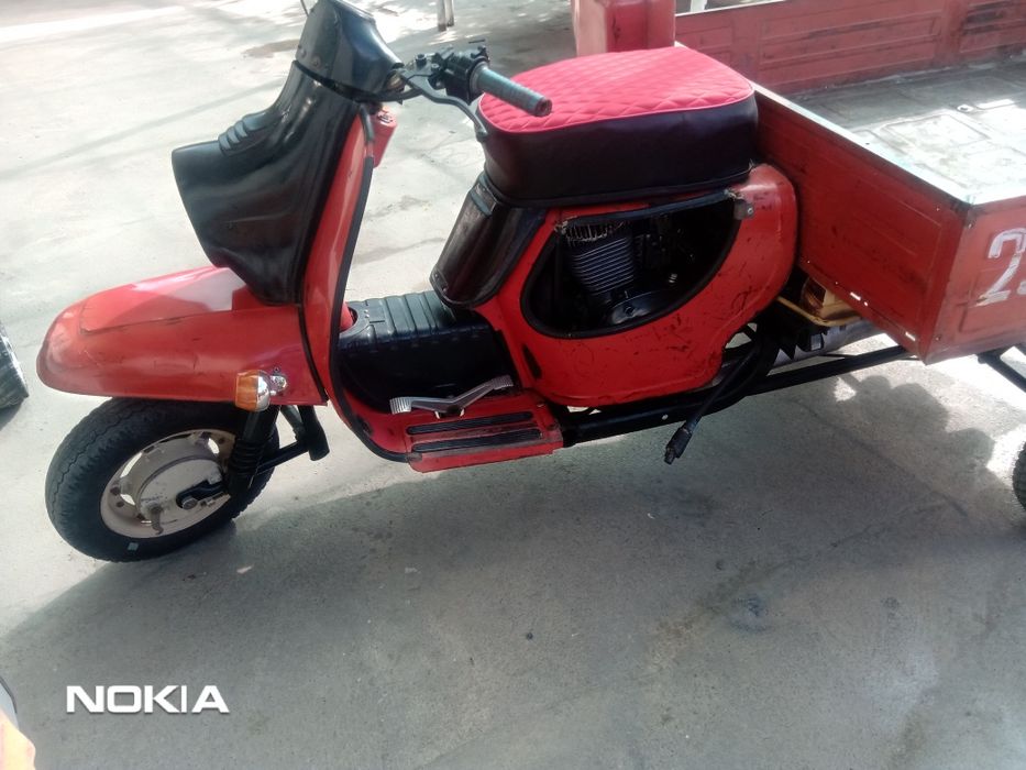 Муравей кизил радной