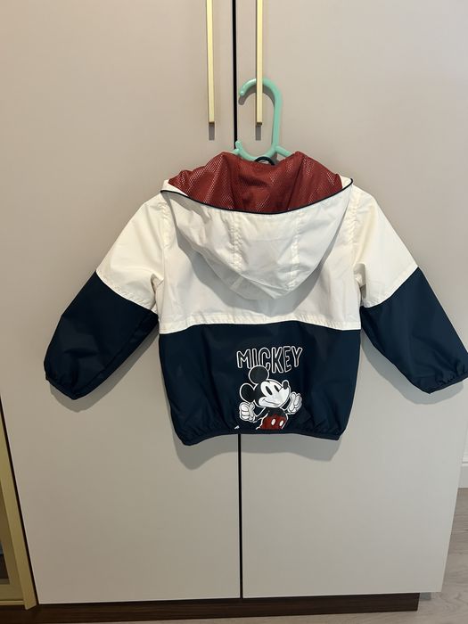 Gecute de primavara