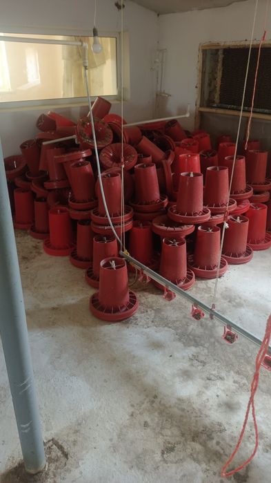 Tayyor biznes sotiladi. Broiler boqish uchun. 24 sotx  Bino 6 sotx