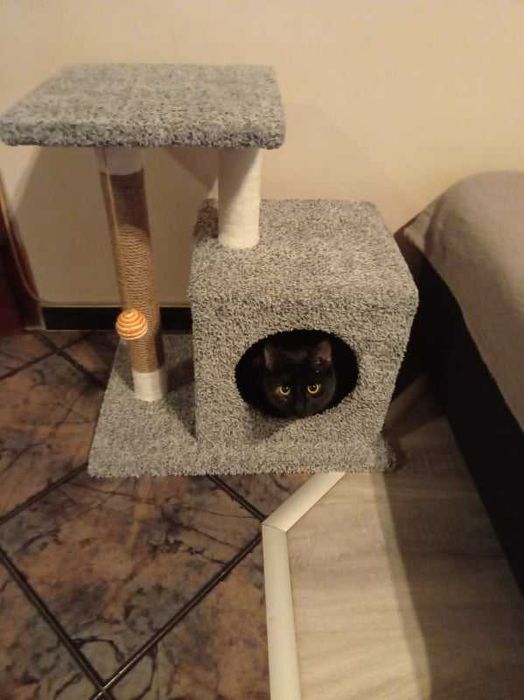 Къща-катерушка за котка.