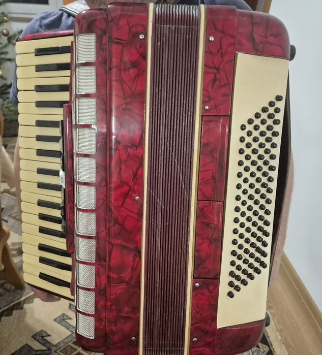 Vand Acordeon Parrot