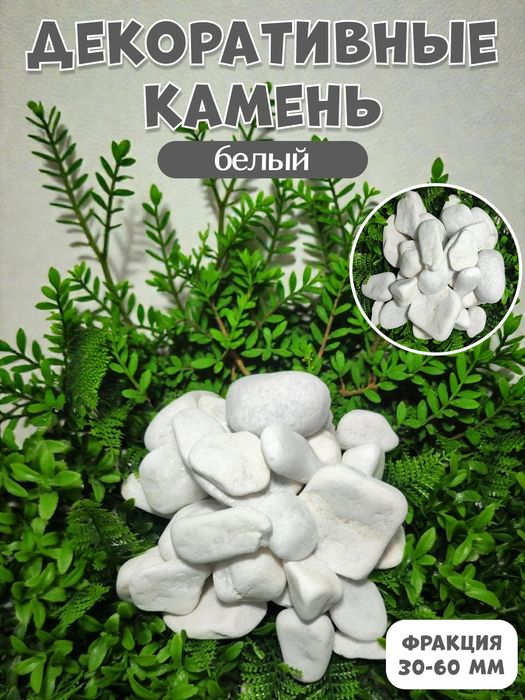 Декоративные камни | Dekorativ toshlar | Rangli tosh | Gul | Akvarium